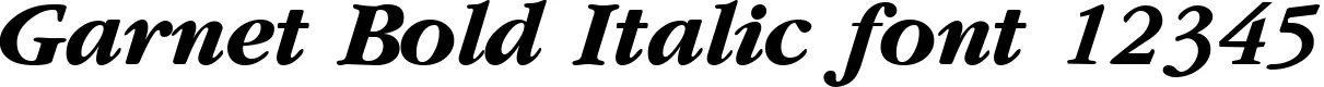 Dynamic Garnet Bold Italic Font Preview https://safirsoft.com