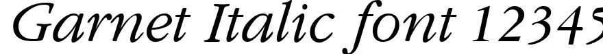 Dynamic Garnet Italic Font Preview https://safirsoft.com