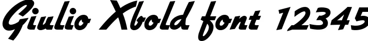 Dynamic Giulio Xbold Font Preview https://safirsoft.com