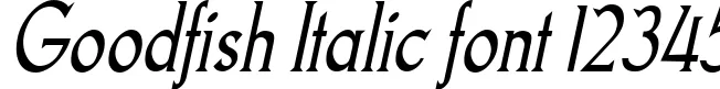 Dynamic Goodfish Italic Font Preview https://safirsoft.com