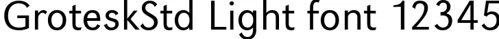 Dynamic GroteskStd Light Font Preview https://safirsoft.com