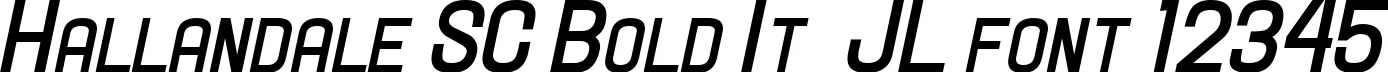 Dynamic Hallandale SC Bold It  JL Font Preview https://safirsoft.com