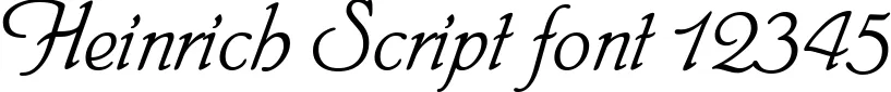 Dynamic Heinrich Script Font Preview https://safirsoft.com