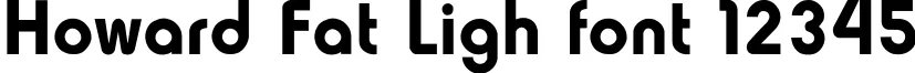 Dynamic Howard Fat Ligh Font Preview https://safirsoft.com