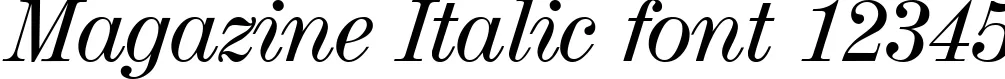 Dynamic Magazine Italic Font Preview https://safirsoft.com