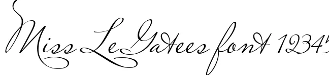 Dynamic Miss Le Gatees Font Preview https://safirsoft.com