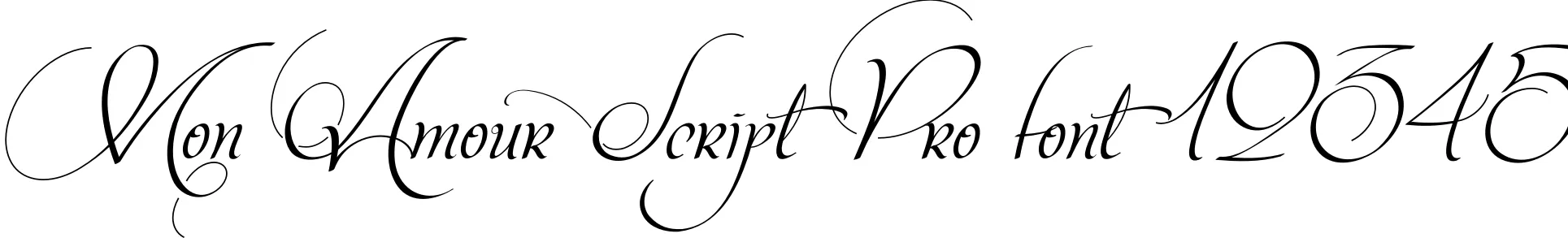 Dynamic Mon Amour Script Pro Font Preview https://safirsoft.com