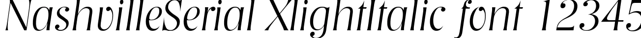 Dynamic NashvilleSerial XlightItalic Font Preview https://safirsoft.com