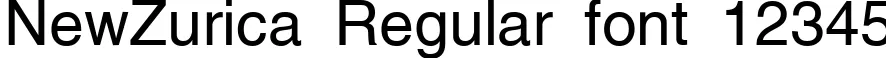 Dynamic NewZurica Regular Font Preview https://safirsoft.com