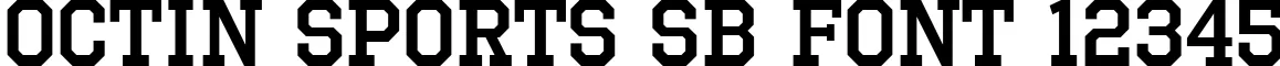 Dynamic Octin Sports Sb Font Preview https://safirsoft.com