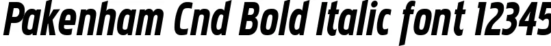 Dynamic Pakenham Cnd Bold Italic Font Preview https://safirsoft.com
