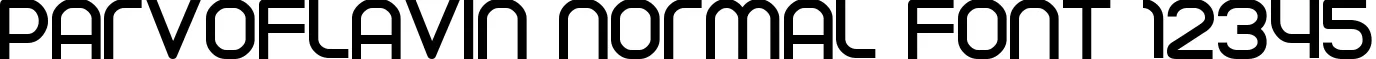 Dynamic Parvoflavin Normal Font Preview https://safirsoft.com