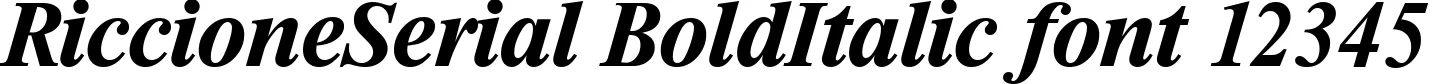 Dynamic RiccioneSerial BoldItalic Font Preview https://safirsoft.com