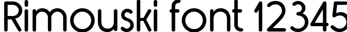 Dynamic Rimouski Font Preview https://safirsoft.com