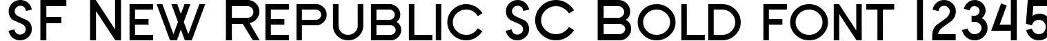 Dynamic SF New Republic SC Bold Font Preview https://safirsoft.com