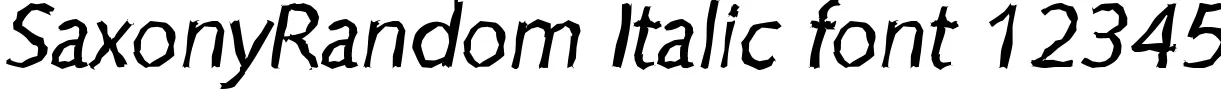 Dynamic SaxonyRandom Italic Font Preview https://safirsoft.com