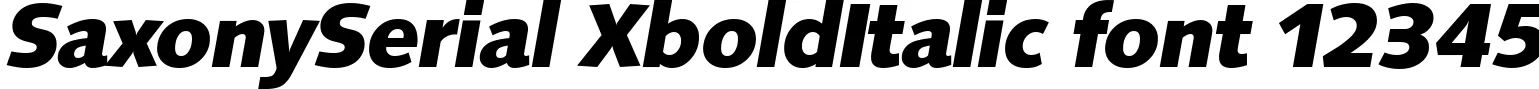 Dynamic SaxonySerial XboldItalic Font Preview https://safirsoft.com
