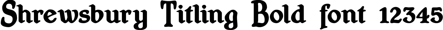 Dynamic Shrewsbury Titling Bold Font Preview https://safirsoft.com