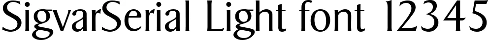 Dynamic SigvarSerial Light Font Preview https://safirsoft.com