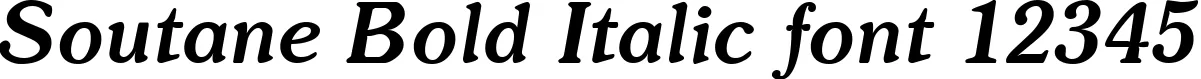 Dynamic Soutane Bold Italic Font Preview https://safirsoft.com
