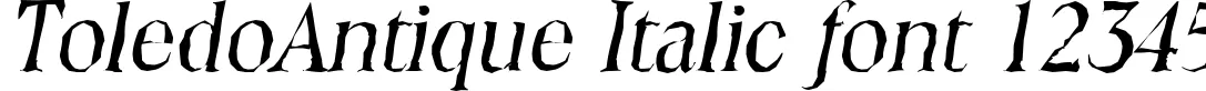 Dynamic ToledoAntique Italic Font Preview https://safirsoft.com