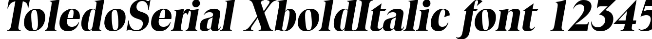 Dynamic ToledoSerial XboldItalic Font Preview https://safirsoft.com