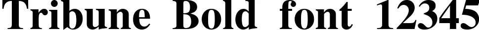 Dynamic Tribune Bold Font Preview https://safirsoft.com