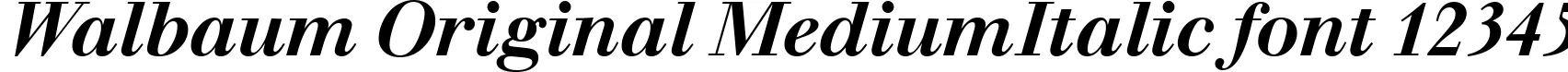 Dynamic Walbaum Original MediumItalic Font Preview https://safirsoft.com