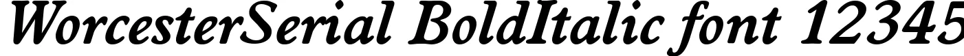 Dynamic WorcesterSerial BoldItalic Font Preview https://safirsoft.com