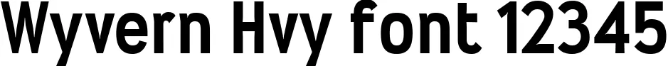 Dynamic Wyvern Hvy Font Preview https://safirsoft.com