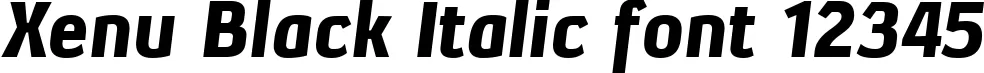 Dynamic Xenu Black Italic Font Preview https://safirsoft.com