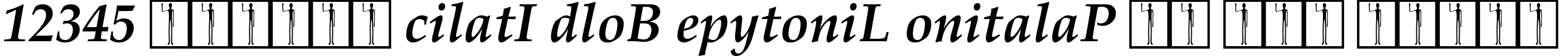 Dynamic Palatino Linotype Bold Italic Font Preview https://safirsoft.com