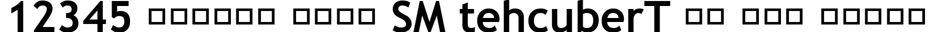Dynamic Trebuchet MS Bold Font Preview https://safirsoft.com