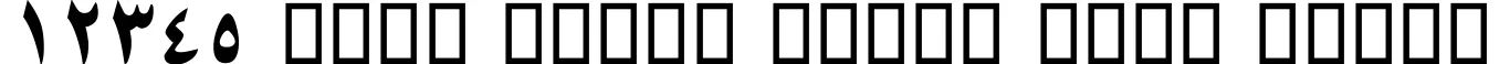 Dynamic W hosseini Bold Font Preview https://safirsoft.com