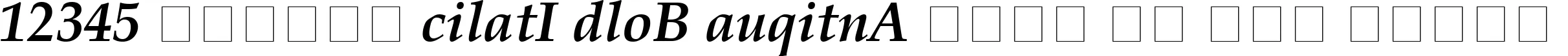 Dynamic Book Antiqua Bold Italic Font Preview https://safirsoft.com
