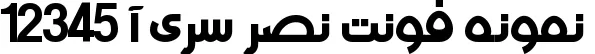 Dynamic A Nasr Font Preview https://safirsoft.com
