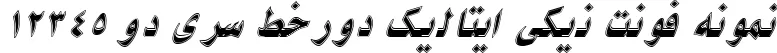 Dynamic 2 Niki Border Italic Font Preview https://safirsoft.com