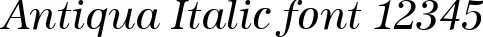 Dynamic Antiqua Italic Font Preview https://safirsoft.com