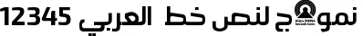 Dynamic Ara Hamah 1964 B Bold Font Preview https://safirsoft.com