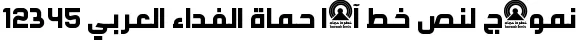 Dynamic Ara Hamah AlFidaa Font Preview https://safirsoft.com