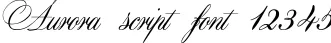 Dynamic Aurora script Font Preview https://safirsoft.com