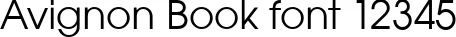 Dynamic Avignon Book Font Preview https://safirsoft.com