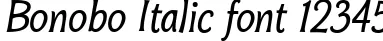 Dynamic Bonobo Italic Font Preview https://safirsoft.com