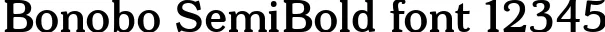 Dynamic Bonobo SemiBold Font Preview https://safirsoft.com