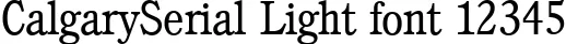 Dynamic CalgarySerial Light Font Preview https://safirsoft.com