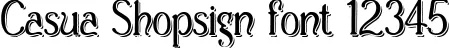 Dynamic Casua Shopsign Font Preview https://safirsoft.com