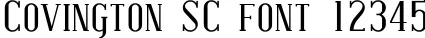 Dynamic Covington SC Font Preview https://safirsoft.com