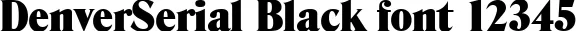 Dynamic DenverSerial Black Font Preview https://safirsoft.com