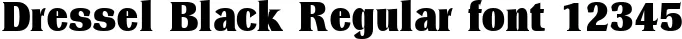 Dynamic Dressel Black Regular Font Preview https://safirsoft.com