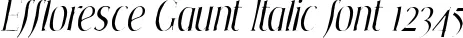 Dynamic Effloresce Gaunt Italic Font Preview https://safirsoft.com